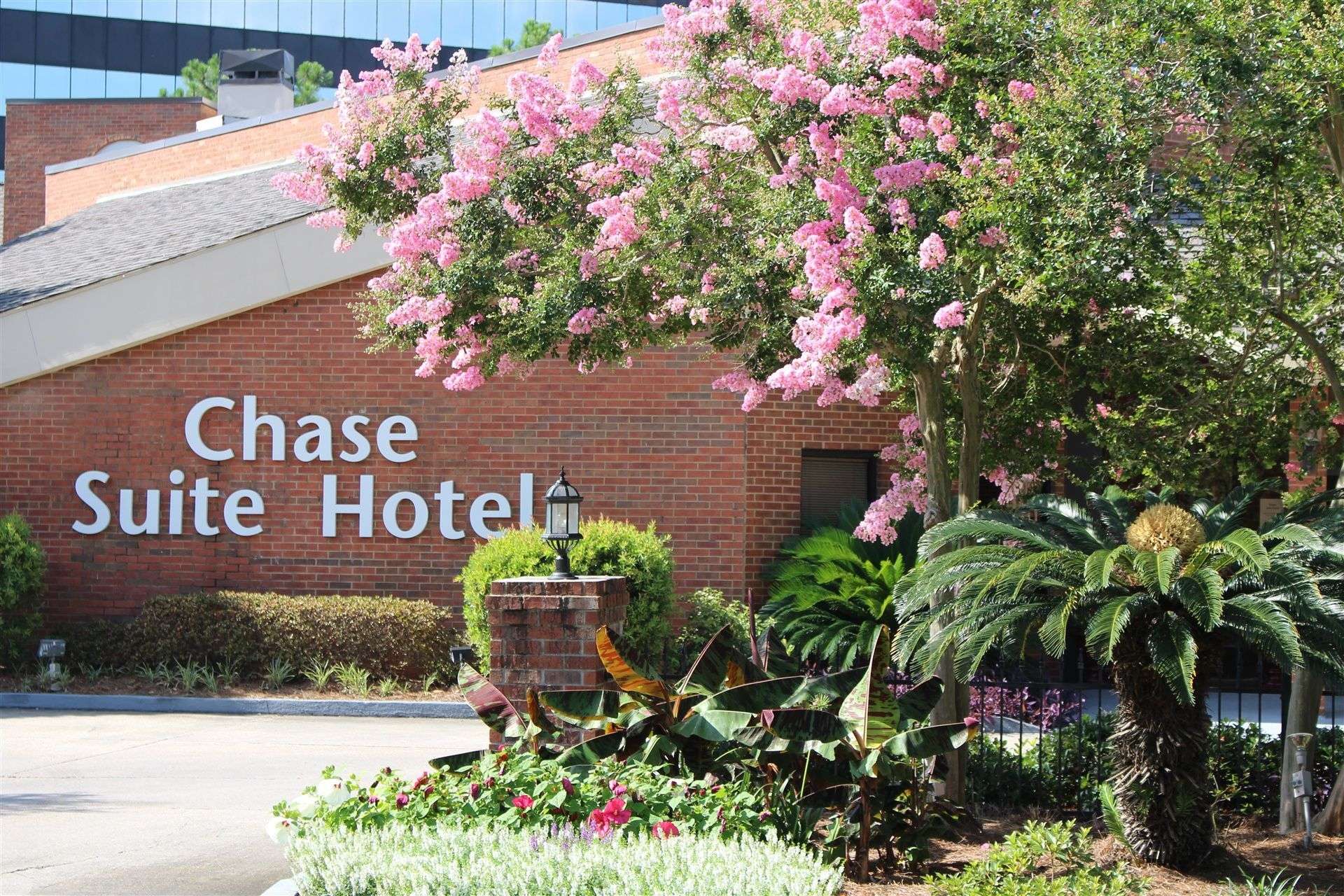 Hotel Chase Suite Hotel Baton Rouge photo 5