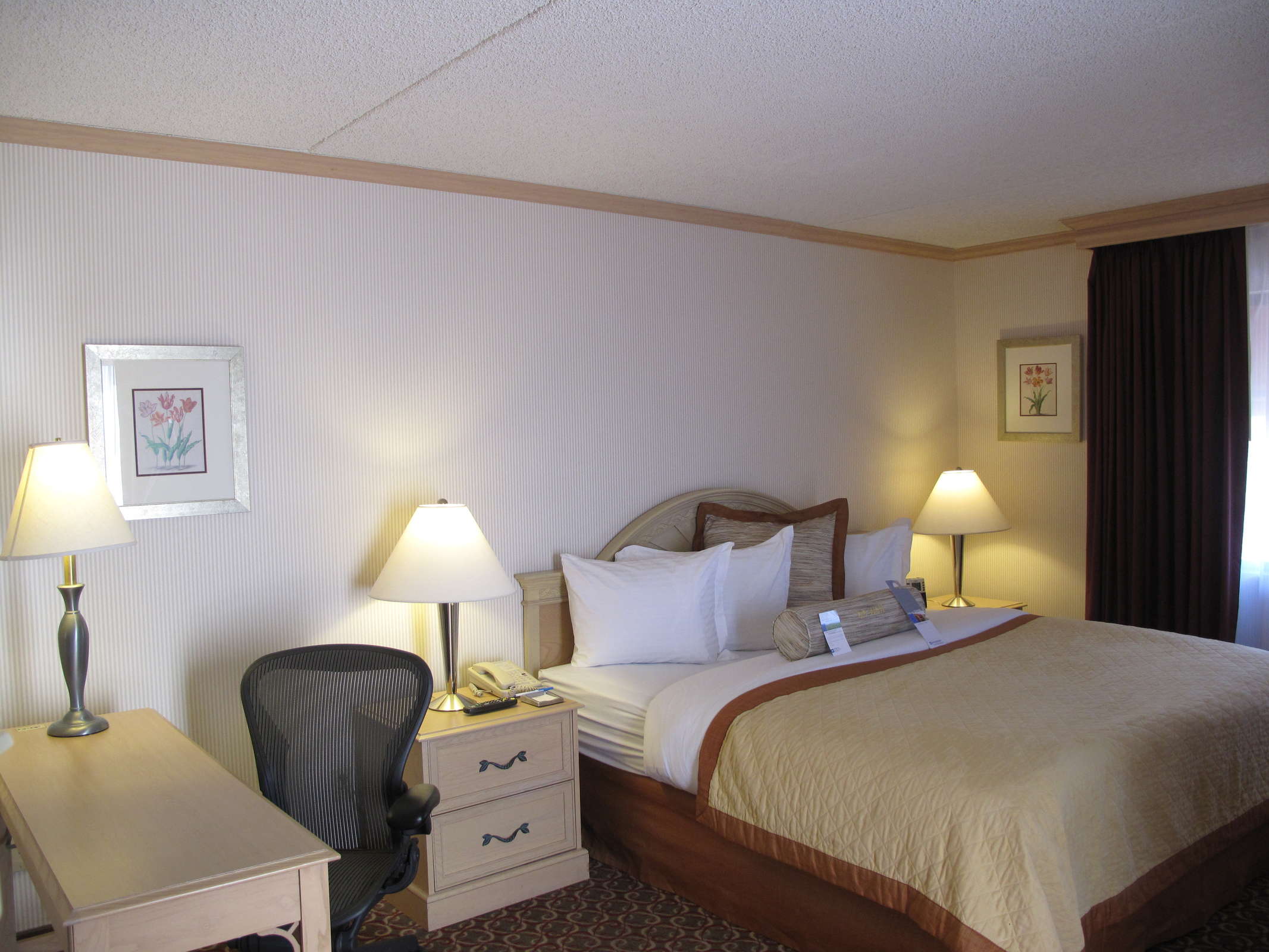 Hotel Wyndham El Paso Airport Hotel and Water Park photo 3
