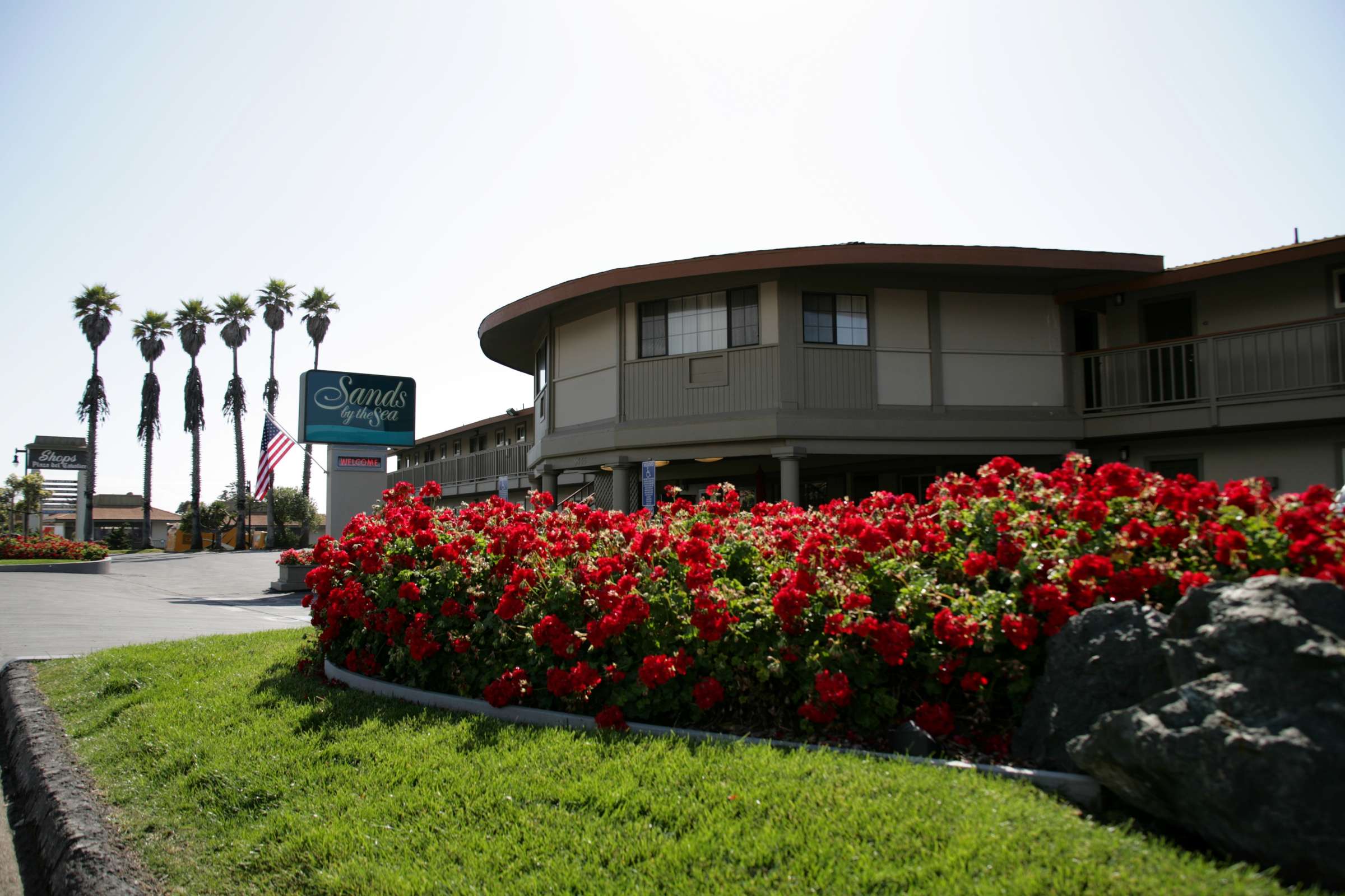 Hotel Sands by the Sea photo 4