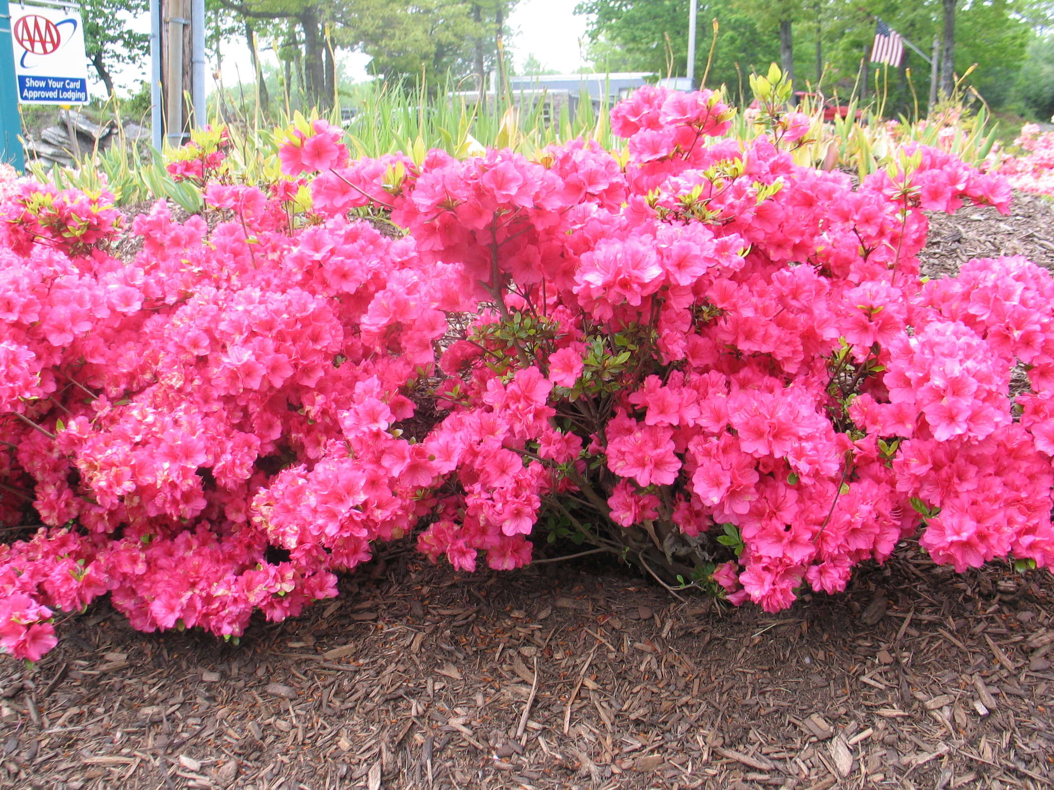 Hotel All Seasons Inn & Suites Smithfield photo 5