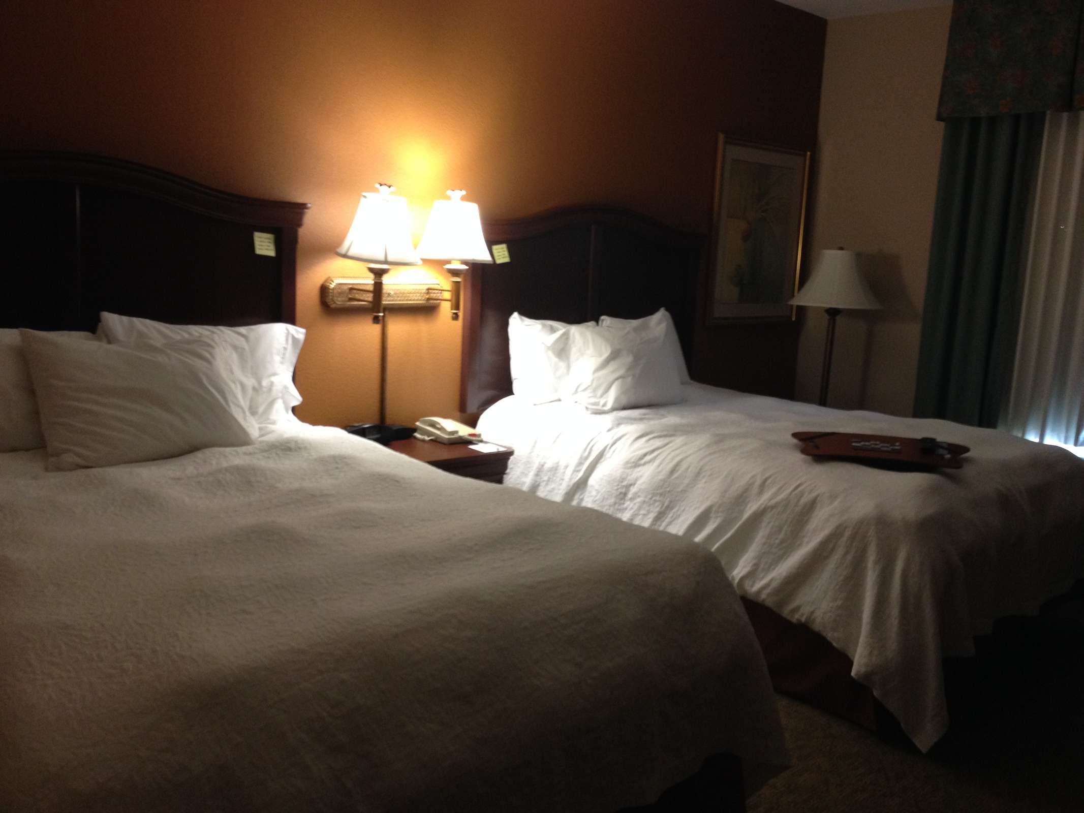 Hotel Hampton Inn Northwest I-37 photo 2