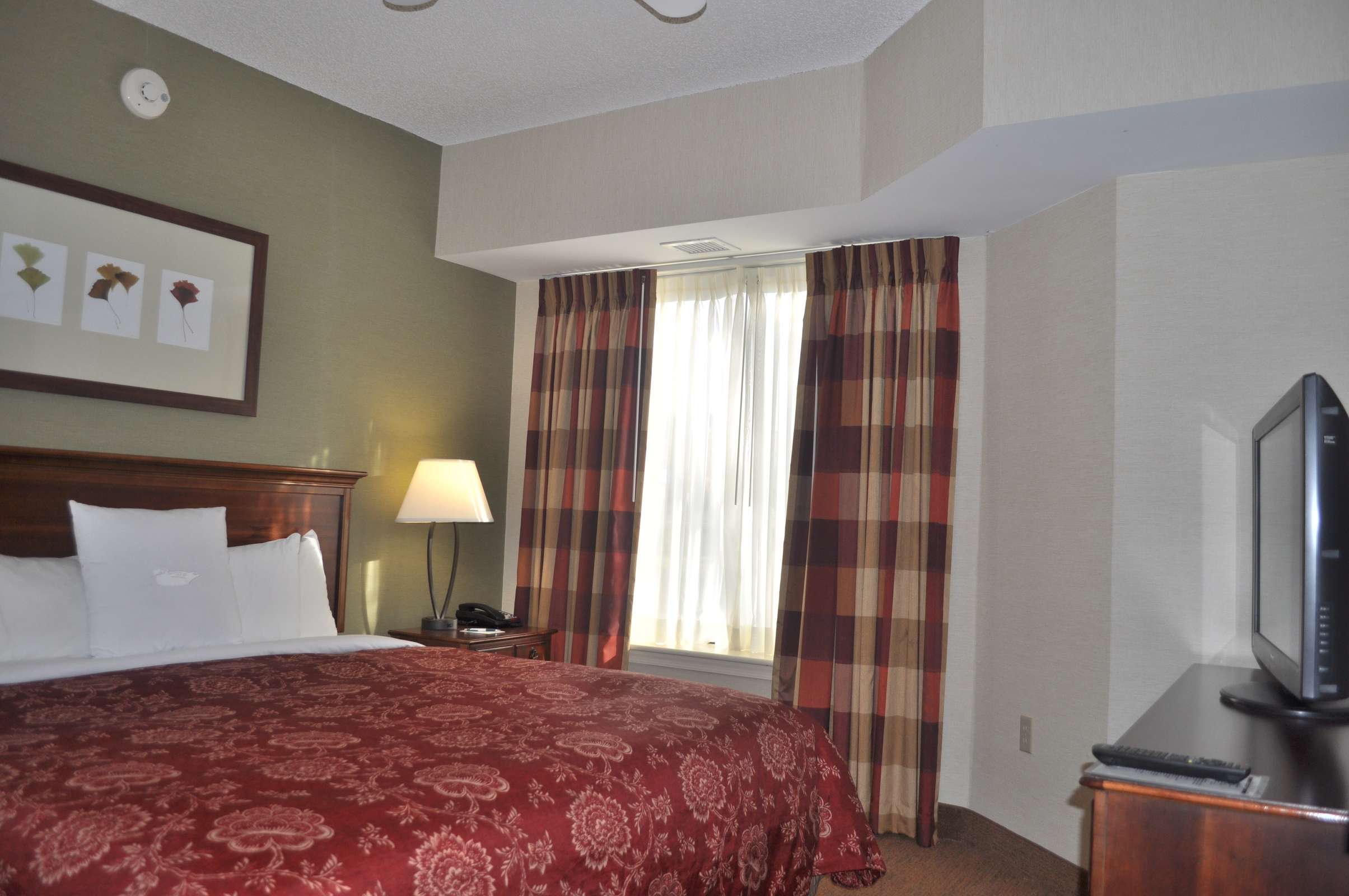 Hotel Homewood Suites by Hilton Williamsburg photo 3