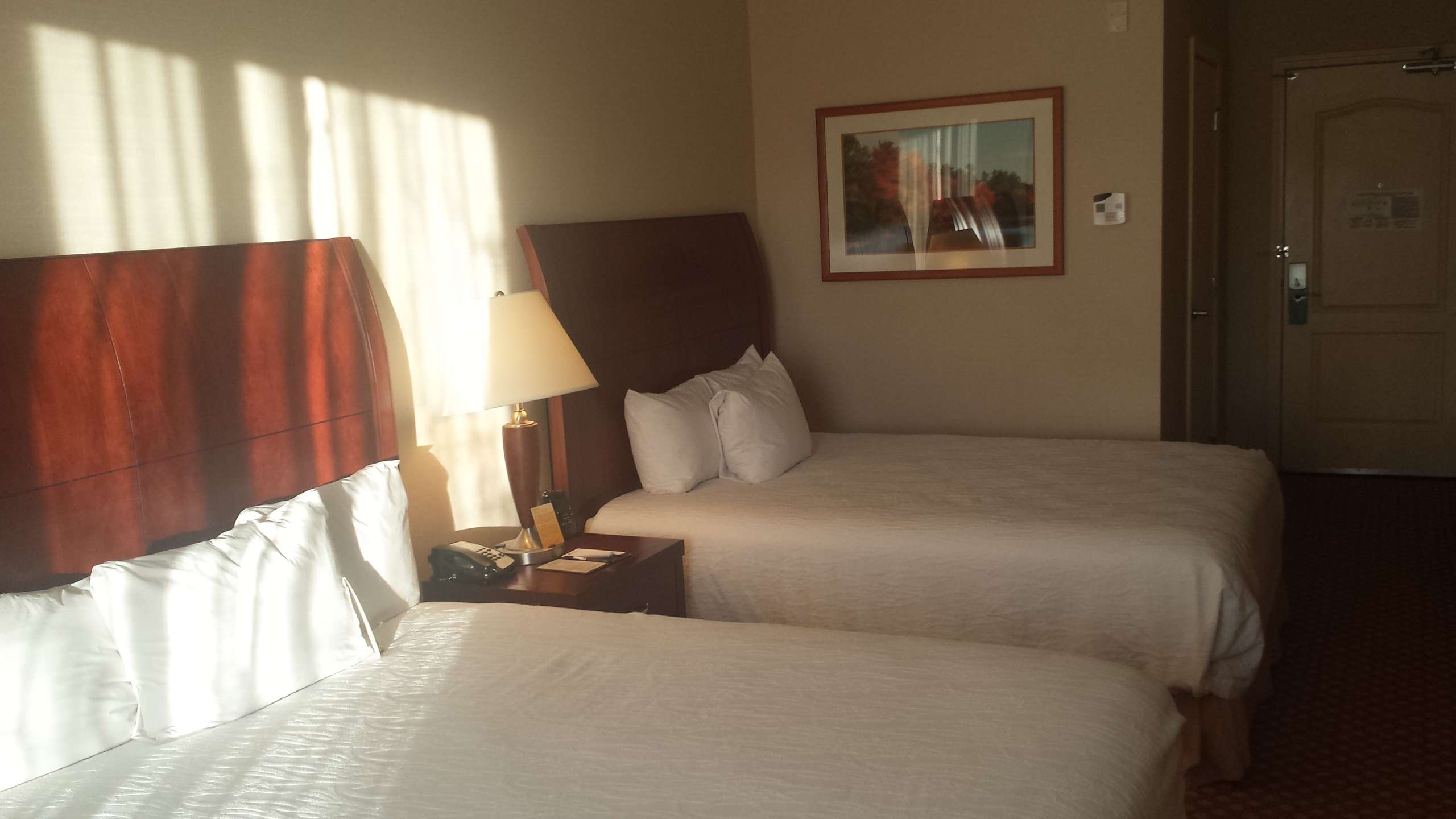 Hotel Hampton Inn Colorado Springs Airport photo 2