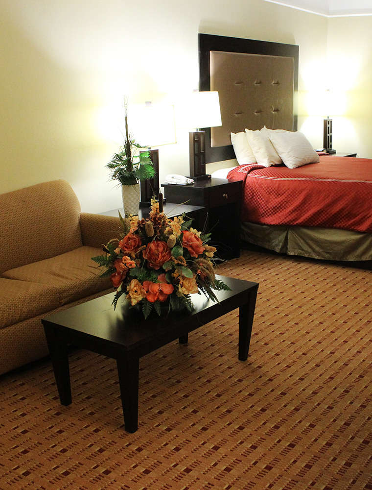 Hotel Super 8 McAllen/Hidalgo photo 2