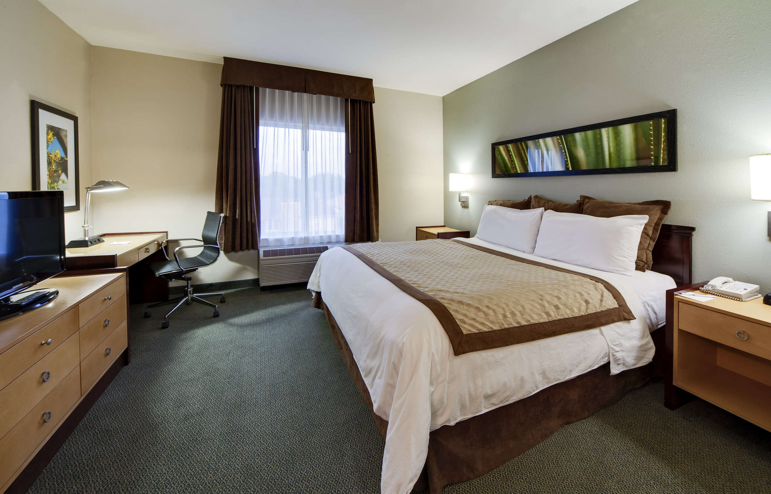 Hotel Hawthorn Suites College Station photo 3