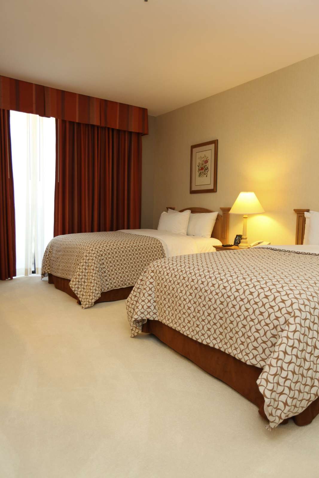 Hotel Embassy Suites McAllen photo 2