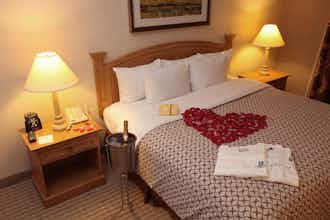 Hotel Embassy Suites McAllen photo 3