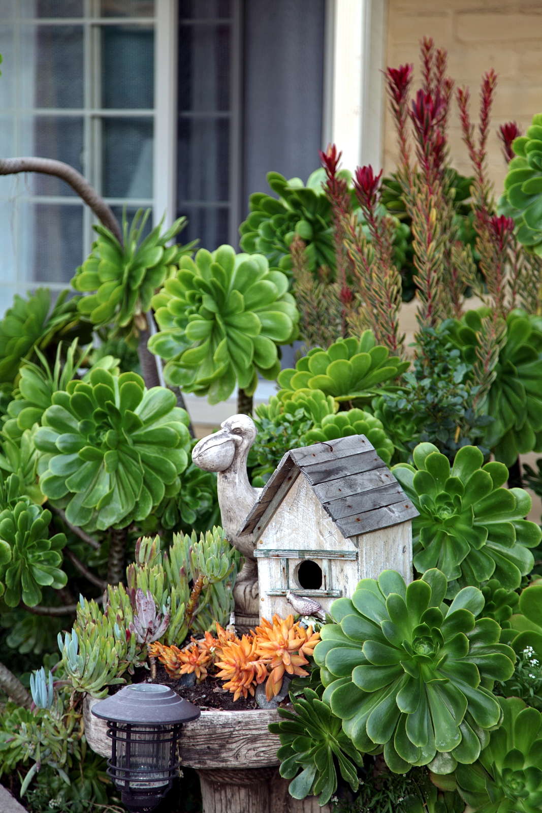 Hotel Inn by the Bay Monterey photo 1