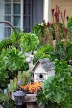 Hotel Inn by the Bay Monterey photo 1